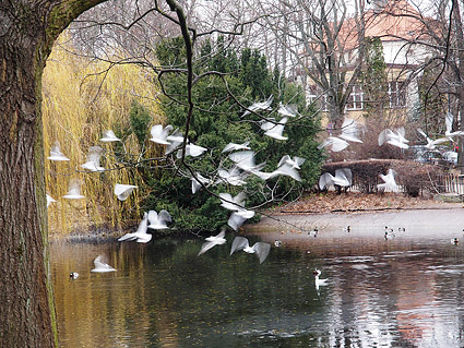 nauka fotografii, galeria uczestników Anna Tomczyk 5